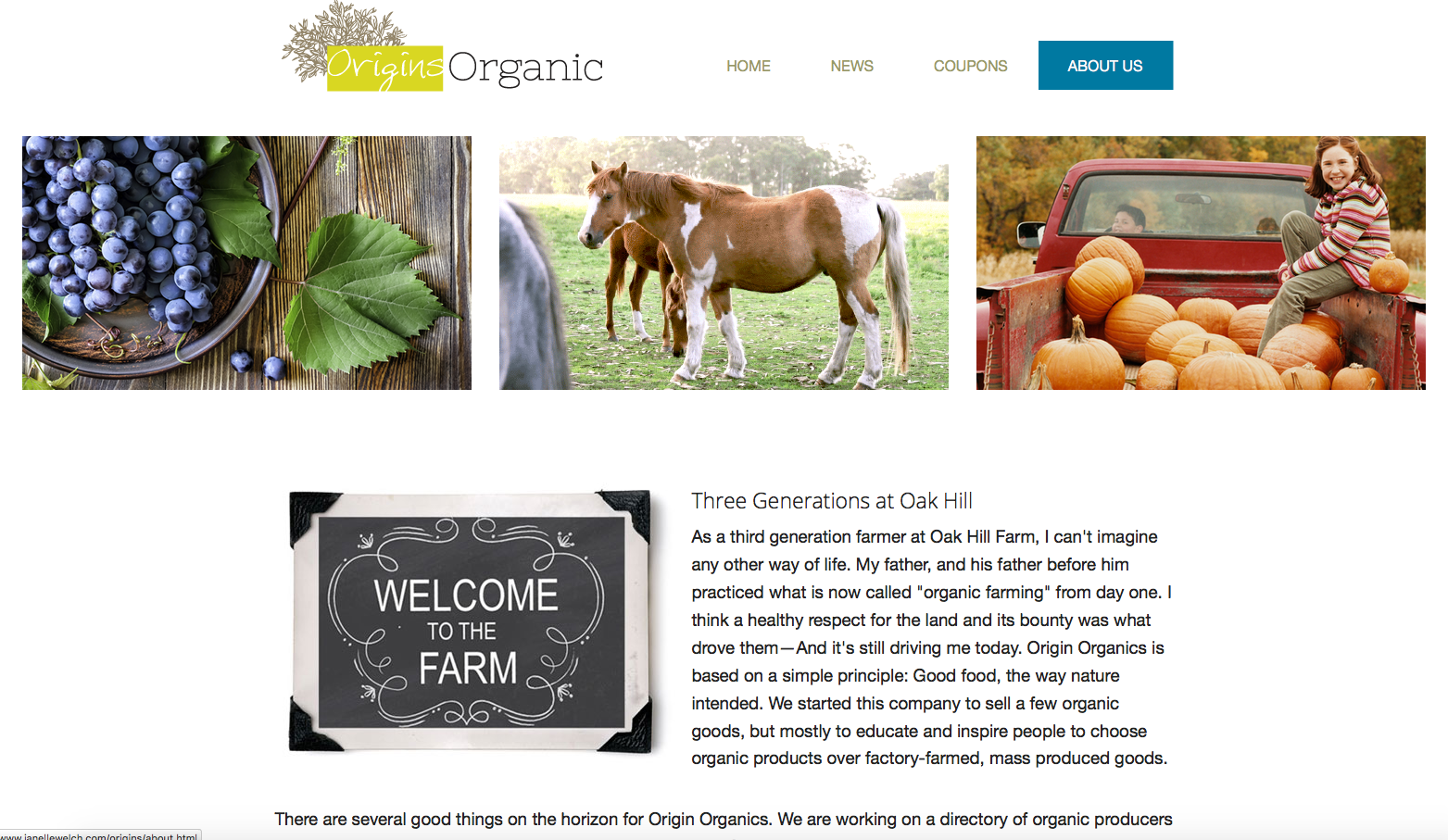 Origins Organic Website