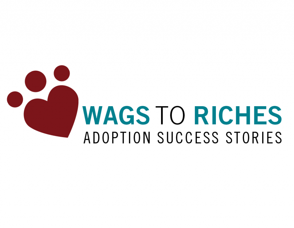 Wags to Riches