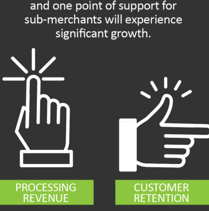 Payment Facilitator Infographic